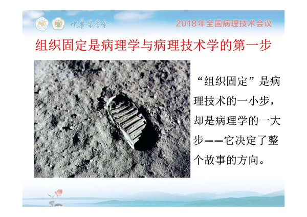 1554884586731832.jpg 0003.jpg