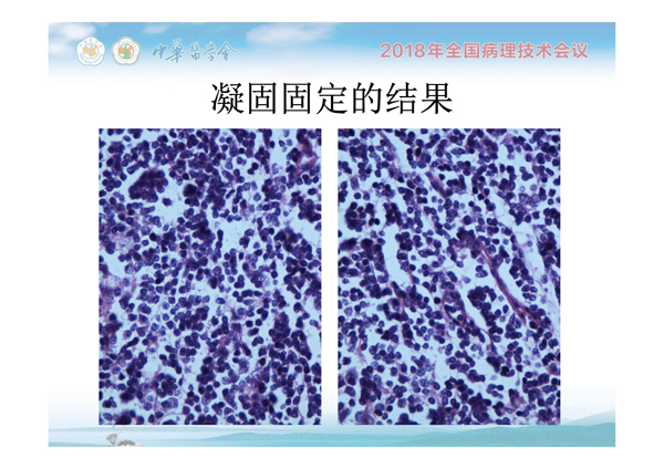 1554884598269167.jpg 0009.jpg