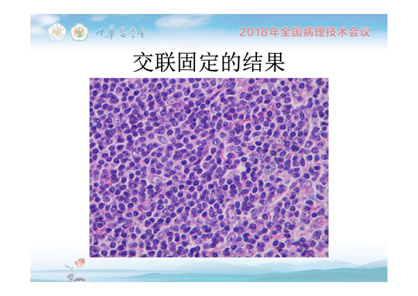 1554884601817136.jpg 0010.jpg