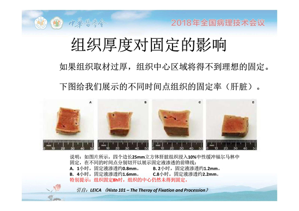 1554884608242816.jpg 0013.jpg